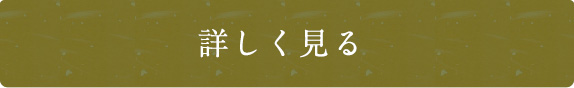 詳しく見る